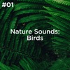 Nature Sounds: Birds, Vol. 1