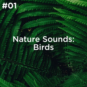 Nature Sounds: Birds, Vol. 1