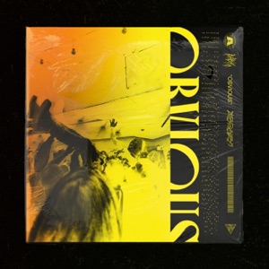 Too Obvious - Single