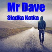 Słodka Kotka (Extended Mix) artwork