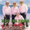 Al Son Del Violín - Los Vencedores lyrics