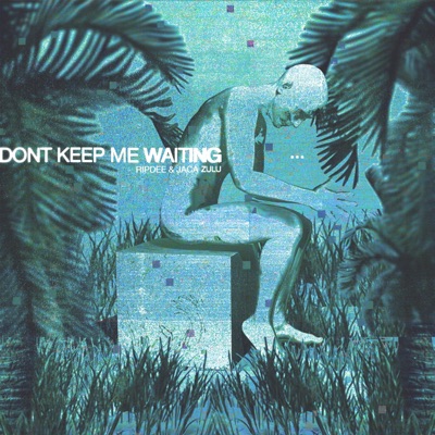 Don't Keep Me Waiting (feat. Jaca Zulu) - Single