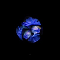 Не забывай меня - Single - Anthony El Mejor