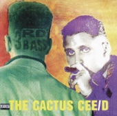 3rd Bass - Product of the Environment