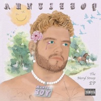The Meryl Streep EP - Auntie Boy