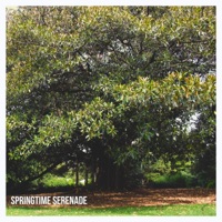 Springtime Serenade - Single - Billy-Joe