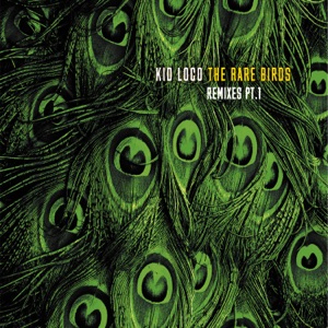 The Rare Birds Remixes, Pt. 1 - EP