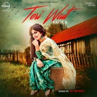 Teri Wait (Remix) - Single - Kaur-B