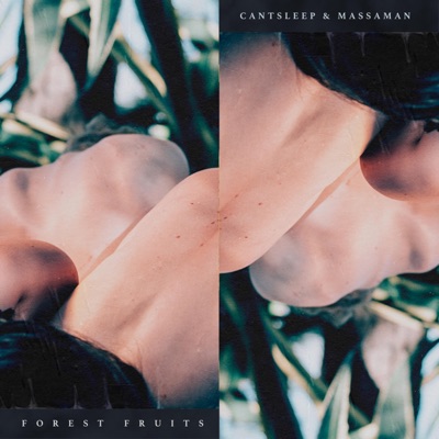 Forest Fruits - Single