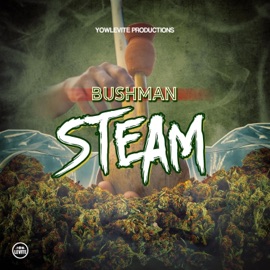 Steam Bushman