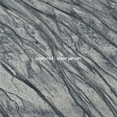 Captured (feat. Thomas Feiner) - Single