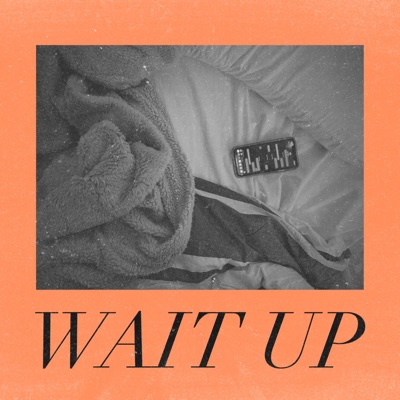 Wait Up (feat. Seigfried) - Single
