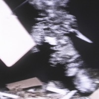 find me someday (feat. MIRSY) - Single - Cat Soup