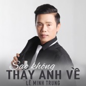 Tình Em Biển Rộng Sông Dài artwork