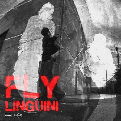 Fly - Single