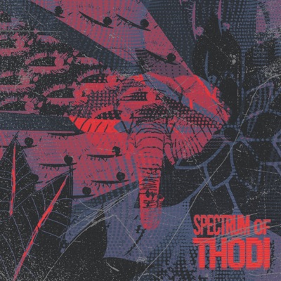 Spectrum of Thodi - Single