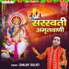 Saraswati Amritvani - Single