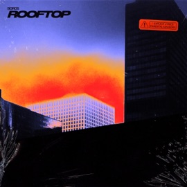 Rooftop B0r0s
