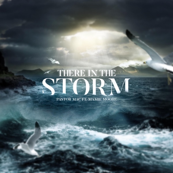 There in the Storm (feat. Mamie Moore) - Single