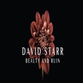 David Starr - Beauty and Ruin