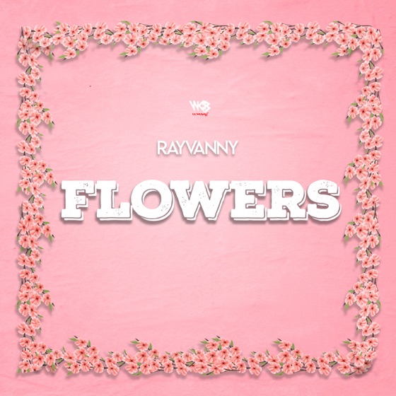 Cover artwork for Naogopa