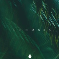 Insomnia - Single - Northbound