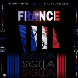 Trip to bique (feat. Dar p music) - Single