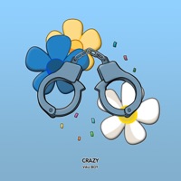 Crazy - Single - Vau Boy