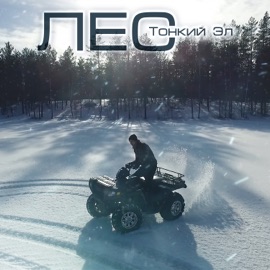 Лес Тонкий Эл