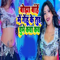 Bojha Bahe Me Gehu Ke Tud Chubhe Kacha Kach - Single - Bicky Babua