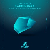 Sahodaraya (NOIYSE PROJECT Remix) artwork