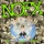 NOFX-Don't Call Me White