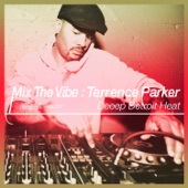 Mix the Vibe: Terrence Parker - Deeep Detroit Heat (DJ Mix) artwork