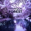 Tranquil Forest