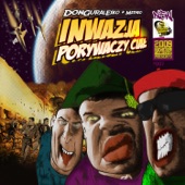 Inwazja porywaczy ciał artwork