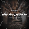 Why You Lie to Me (Nikko Culture Remix)