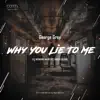 George Grey - Why You Lie to Me (feat. Nikko Culture) [Nikko Culture Remix]