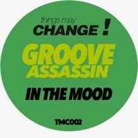 In the Mood - Single - Groove Assassin