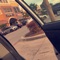 Bankroll (feat. Bankroll Fresh) - Apollo lyrics