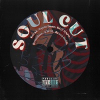 Soul Cut (feat. Captn Dann, KOV Capo, Dvuntless, AWOL & Bruce Hobb) - Single - Kovah