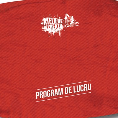 Program de Lucru