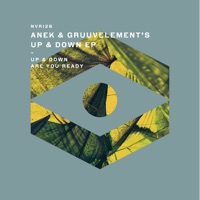 Up & Down - Single - Anek & GruuvElement's
