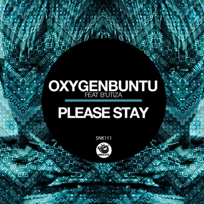 Please Stay - Single