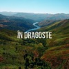 În Dragoste - Single
