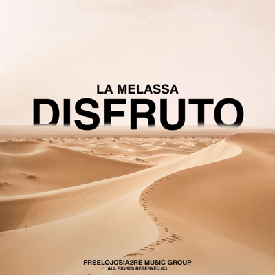 Disfruto - Single