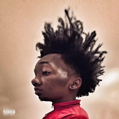 Deal With It (feat. SpCash) - Single