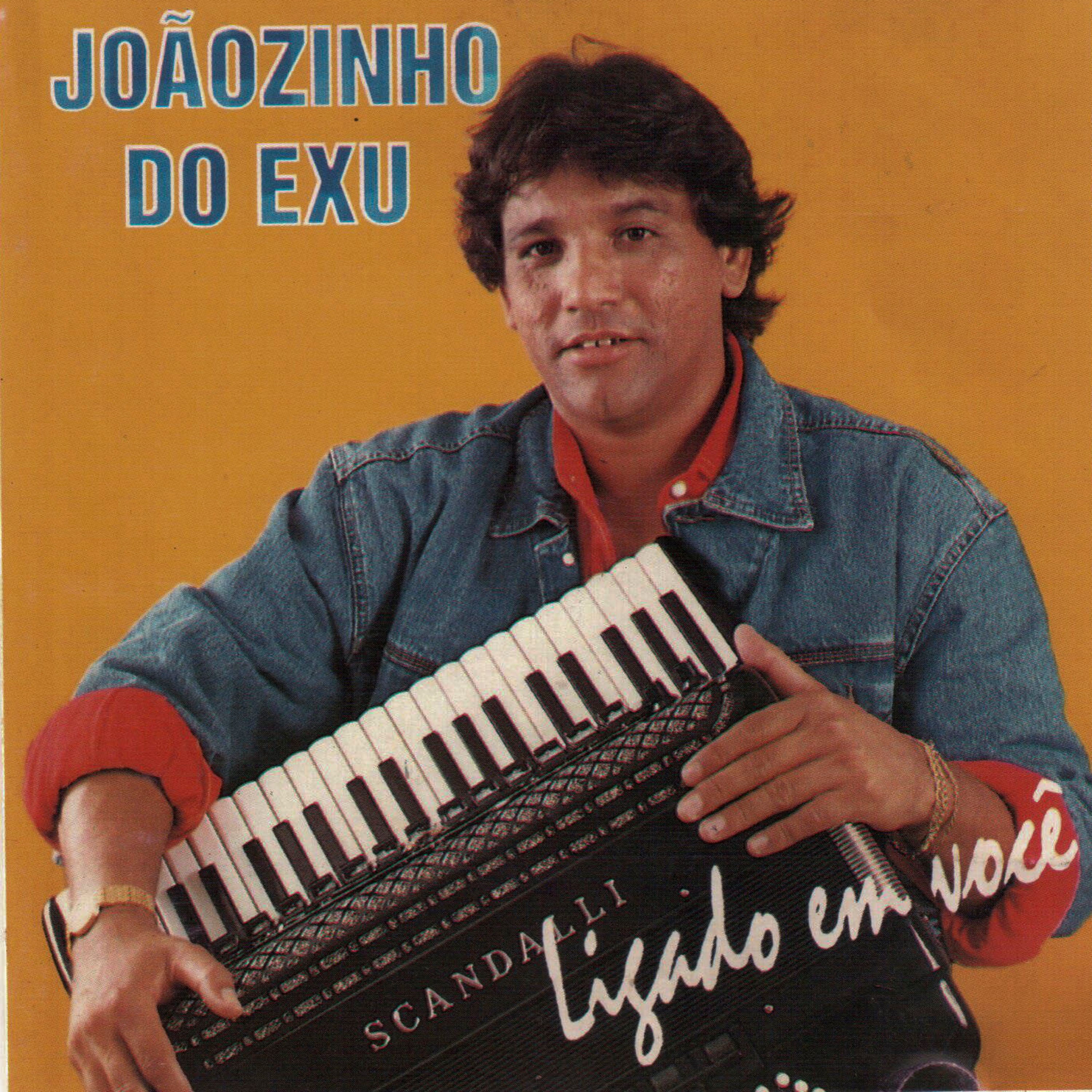 Ligado em Você