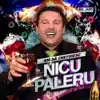 Nicu Paleru - Noroc, Noroc (Bonus Track)