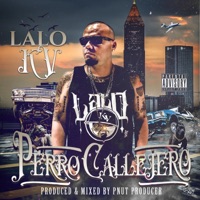 Perro Callejero - Single - Lalo Kv