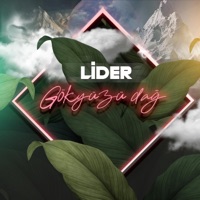 Gökyüzü Dağ - Single - Lider